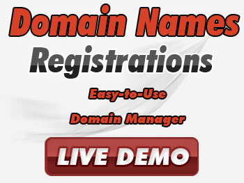Budget domain name services